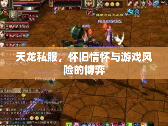 天龙私服，怀旧情怀与游戏风险的博弈