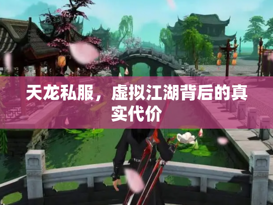 天龙私服，虚拟江湖背后的真实代价