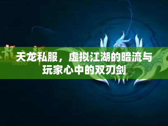 天龙私服，虚拟江湖的暗流与玩家心中的双刃剑