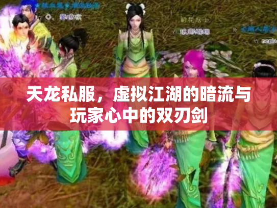 天龙私服，虚拟江湖的暗流与玩家心中的双刃剑