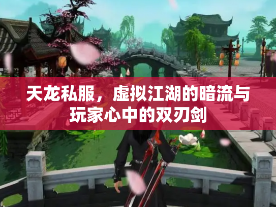天龙私服，虚拟江湖的暗流与玩家心中的双刃剑