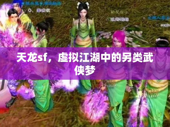 天龙sf，虚拟江湖中的另类武侠梦