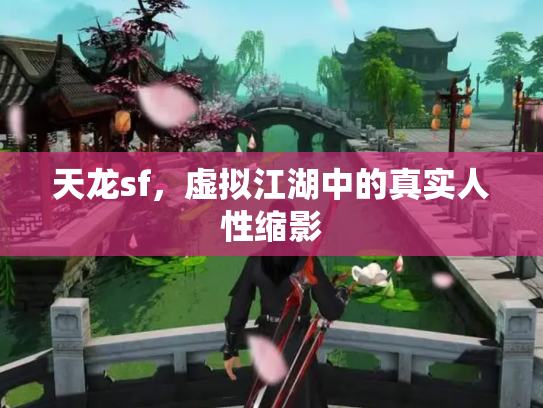 天龙sf，虚拟江湖中的真实人性缩影