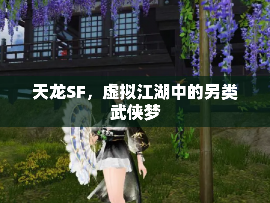 天龙SF，虚拟江湖中的另类武侠梦
