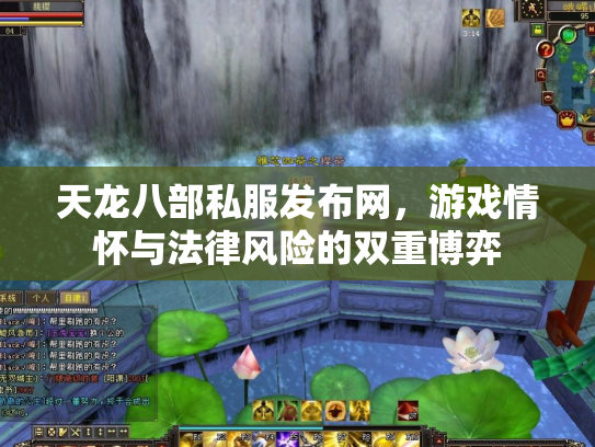 天龙八部私服发布网，游戏情怀与法律风险的双重博弈