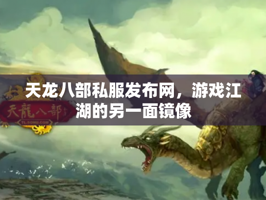 天龙八部私服发布网，游戏江湖的另一面镜像