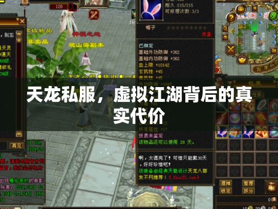 天龙私服，虚拟江湖背后的真实代价