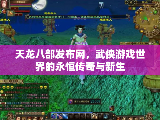 天龙八部发布网，武侠游戏世界的永恒传奇与新生