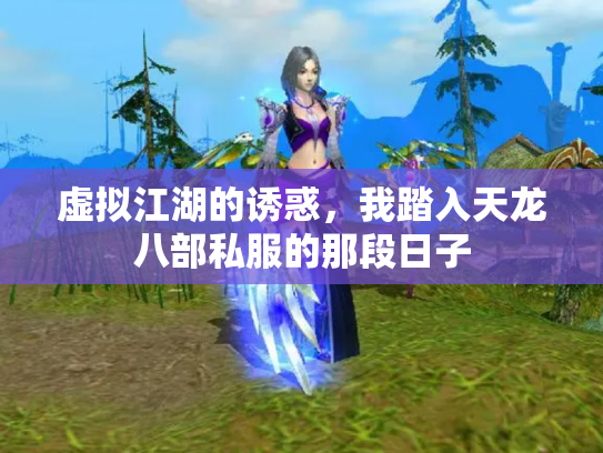 虚拟江湖的诱惑，我踏入天龙八部私服的那段日子