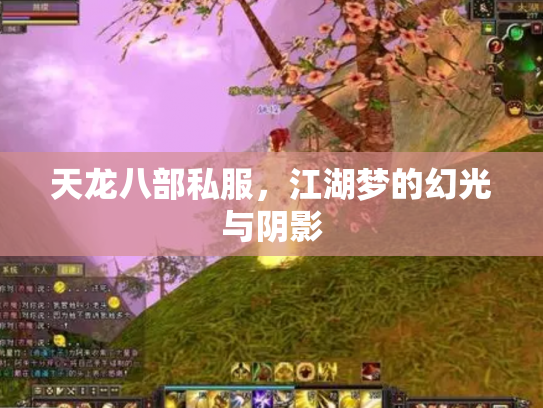 天龙八部私服，江湖梦的幻光与阴影