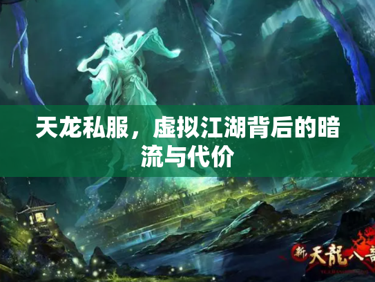 天龙私服，虚拟江湖背后的暗流与代价