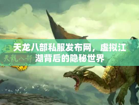 天龙八部私服发布网，虚拟江湖背后的隐秘世界
