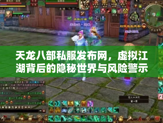天龙八部私服发布网，虚拟江湖背后的隐秘世界与风险警示