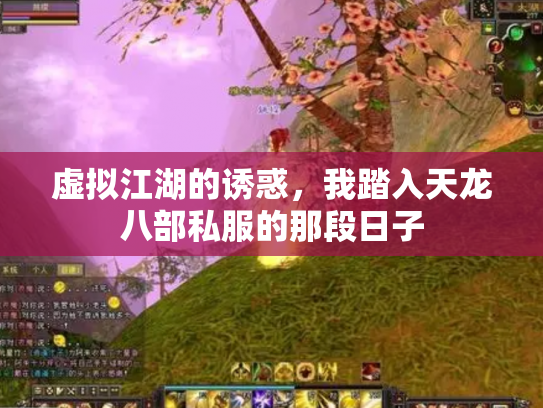 虚拟江湖的诱惑，我踏入天龙八部私服的那段日子