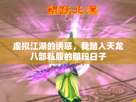 虚拟江湖的诱惑，我踏入天龙八部私服的那段日子