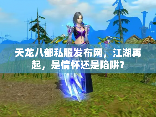天龙八部私服发布网，江湖再起，是情怀还是陷阱？