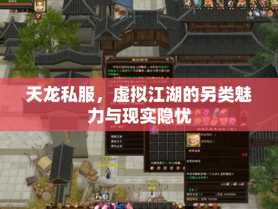 天龙私服，虚拟江湖的另类魅力与现实隐忧