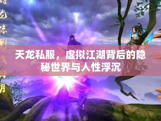 天龙私服，虚拟江湖背后的隐秘世界与人性浮沉