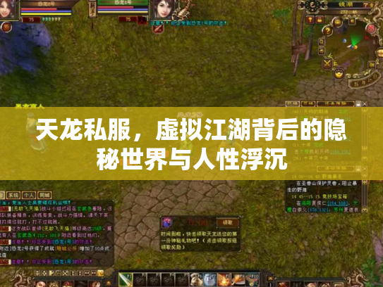 天龙私服，虚拟江湖背后的隐秘世界与人性浮沉