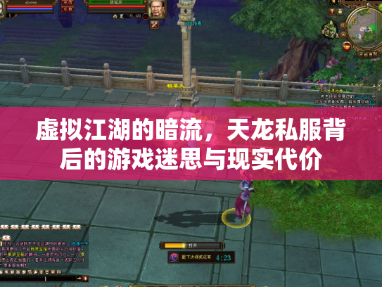 虚拟江湖的暗流，天龙私服背后的游戏迷思与现实代价
