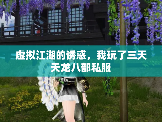 虚拟江湖的诱惑，我玩了三天天龙八部私服