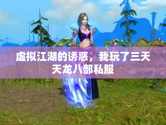 虚拟江湖的诱惑，我玩了三天天龙八部私服