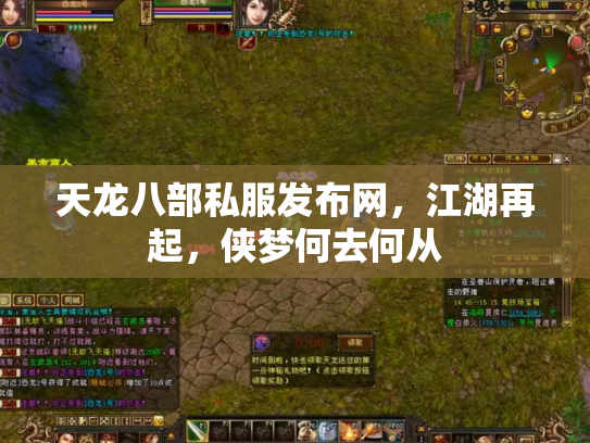 天龙八部私服发布网，江湖再起，侠梦何去何从