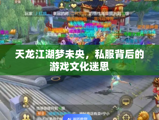 天龙江湖梦未央，私服背后的游戏文化迷思