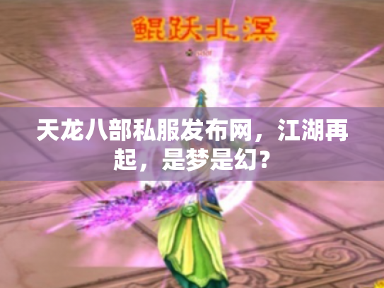 天龙八部私服发布网，江湖再起，是梦是幻？