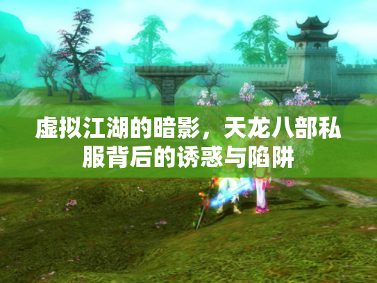 虚拟江湖的暗影，天龙八部私服背后的诱惑与陷阱
