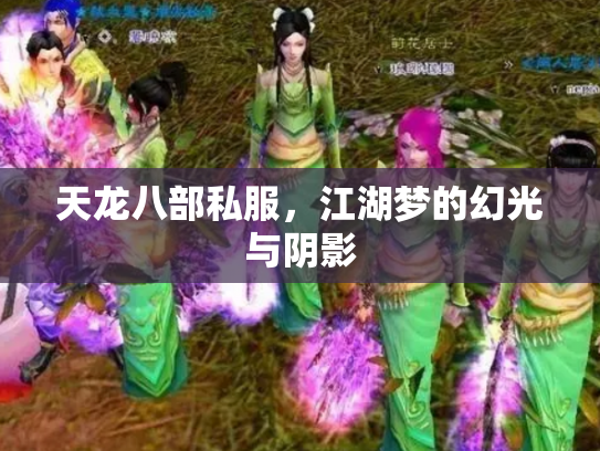 天龙八部私服，江湖梦的幻光与阴影