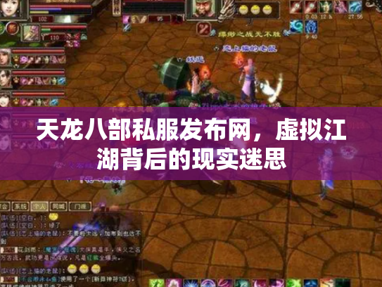 天龙八部私服发布网，虚拟江湖背后的现实迷思