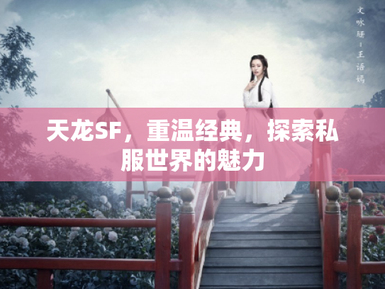 天龙SF，重温经典，探索私服世界的魅力