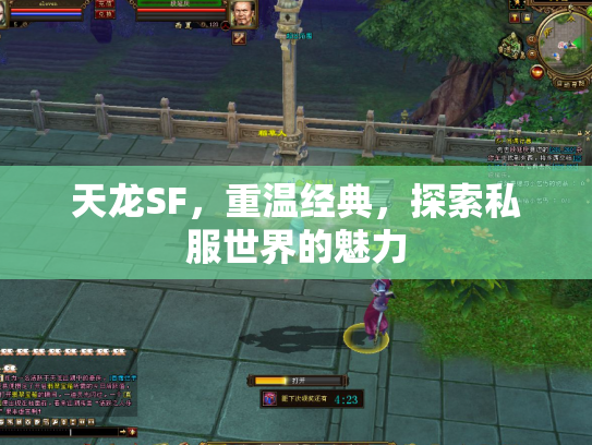 天龙SF，重温经典，探索私服世界的魅力