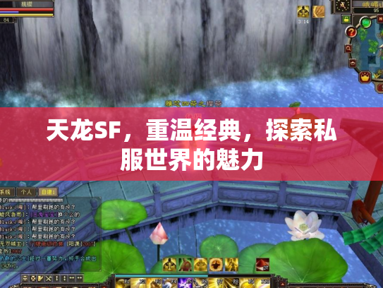 天龙SF，重温经典，探索私服世界的魅力