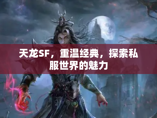 天龙SF，重温经典，探索私服世界的魅力