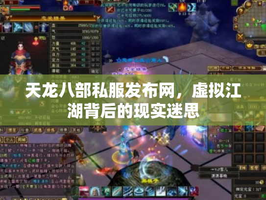 天龙八部私服发布网，虚拟江湖背后的现实迷思
