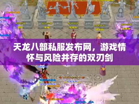 天龙八部私服发布网，游戏情怀与风险并存的双刃剑