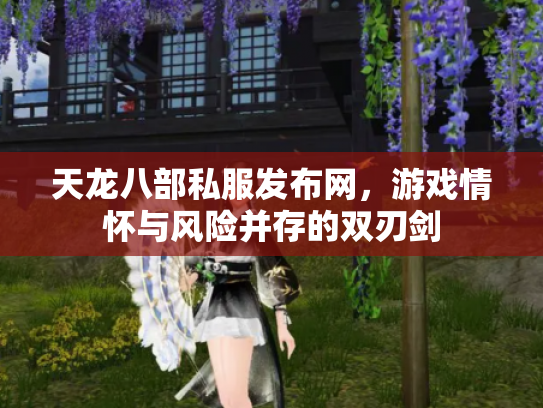 天龙八部私服发布网，游戏情怀与风险并存的双刃剑