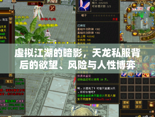 虚拟江湖的暗影，天龙私服背后的欲望、风险与人性博弈