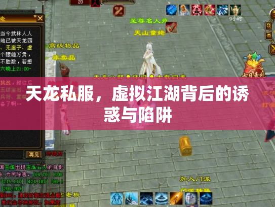 天龙私服，虚拟江湖背后的诱惑与陷阱