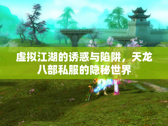 虚拟江湖的诱惑与陷阱，天龙八部私服的隐秘世界