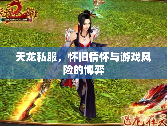 天龙私服，怀旧情怀与游戏风险的博弈