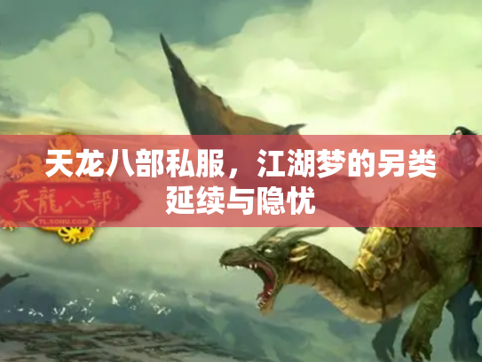 天龙八部私服，江湖梦的另类延续与隐忧