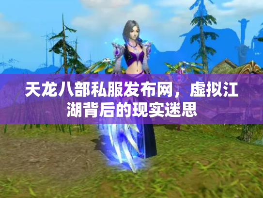 天龙八部私服发布网，虚拟江湖背后的现实迷思
