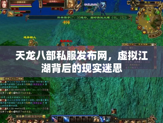 天龙八部私服发布网，虚拟江湖背后的现实迷思