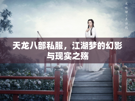 天龙八部私服，江湖梦的幻影与现实之殇