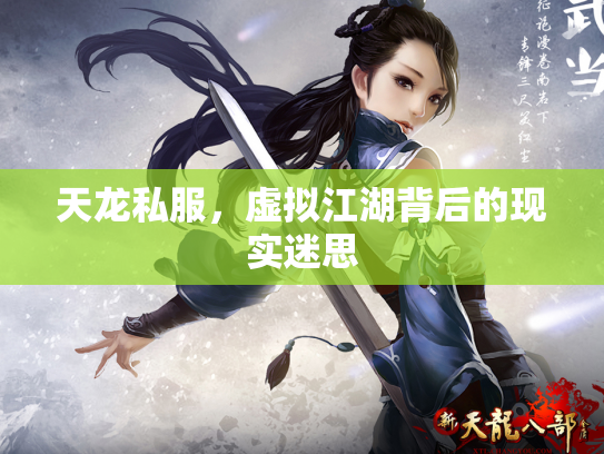 天龙私服，虚拟江湖背后的现实迷思