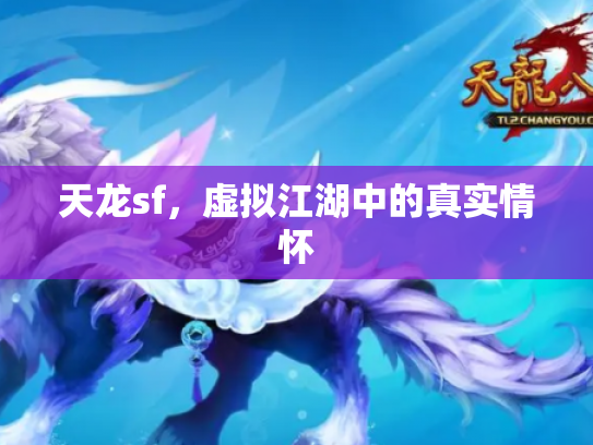 天龙sf，虚拟江湖中的真实情怀