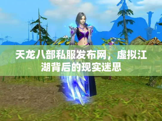 天龙八部私服发布网，虚拟江湖背后的现实迷思